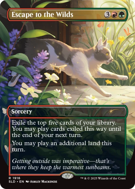 Magic the Gathering, Secret Lair: Cats Are Better Than Dogs – Card Monster  Games
