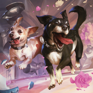 Magic the Gathering, Secret Lair: Dogs Are Better Than Cats