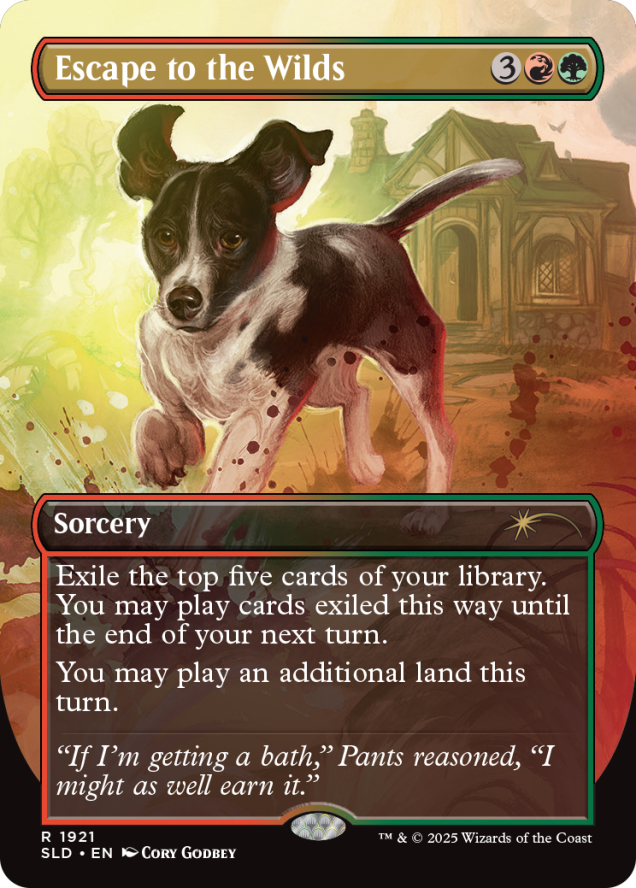 dog card mtg Magic the Gathering, Secret Lair: Dogs Are Better Than Cats – Card Monster Games