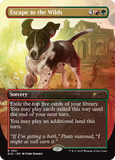 Magic the Gathering, Secret Lair: Dogs Are Better Than Cats