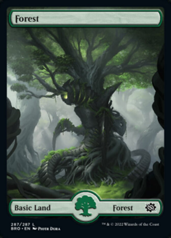 Forest (287) - Full Art [The Brothers' War][FOIL]