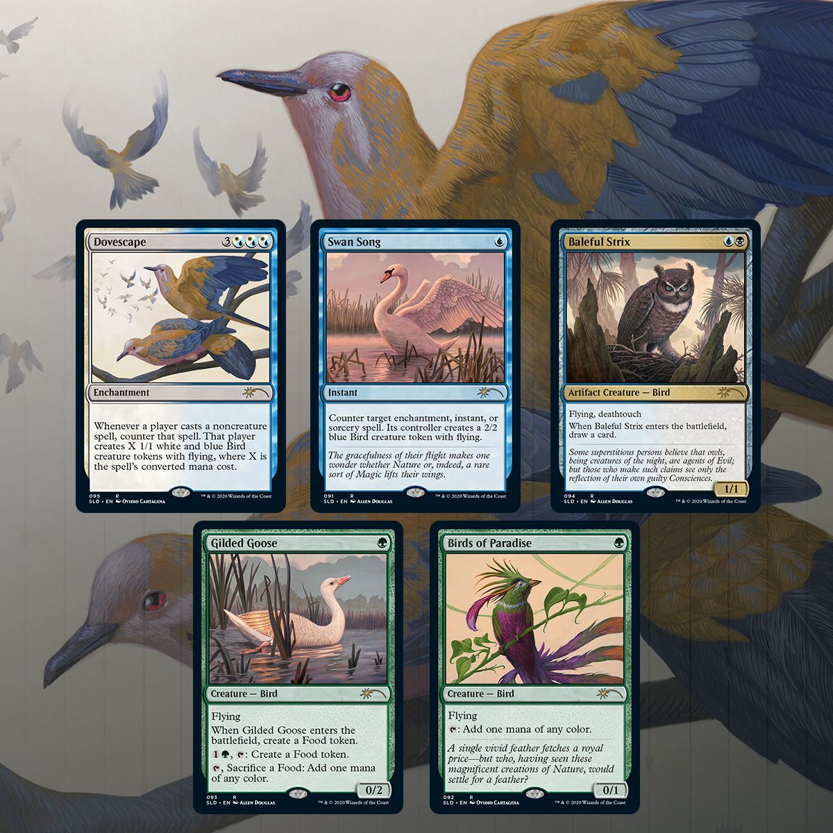 Magic The Gathering, Secret Lair: Ornithological Studies – Card